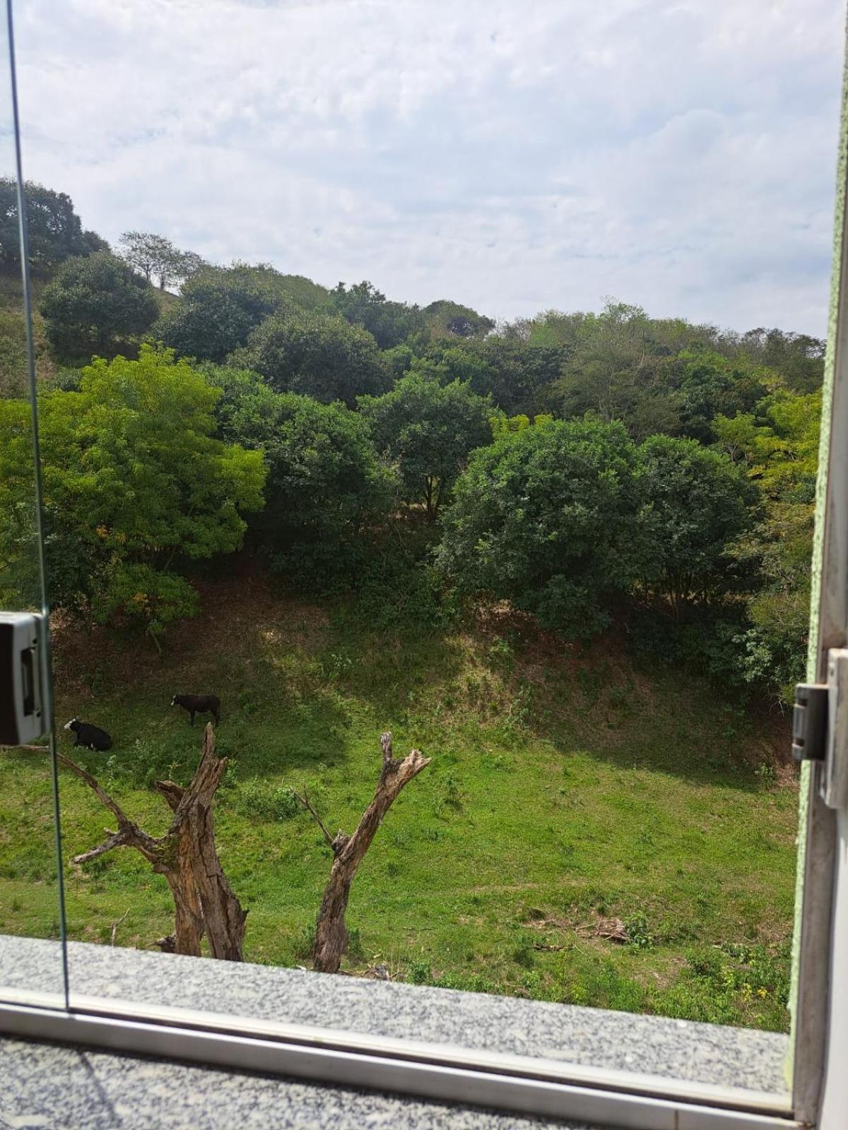 Margaça Califórnia Appartement
